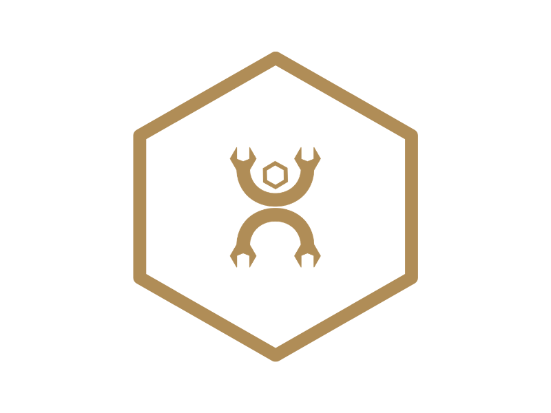 Logo Plus-Hexagon Bronze
